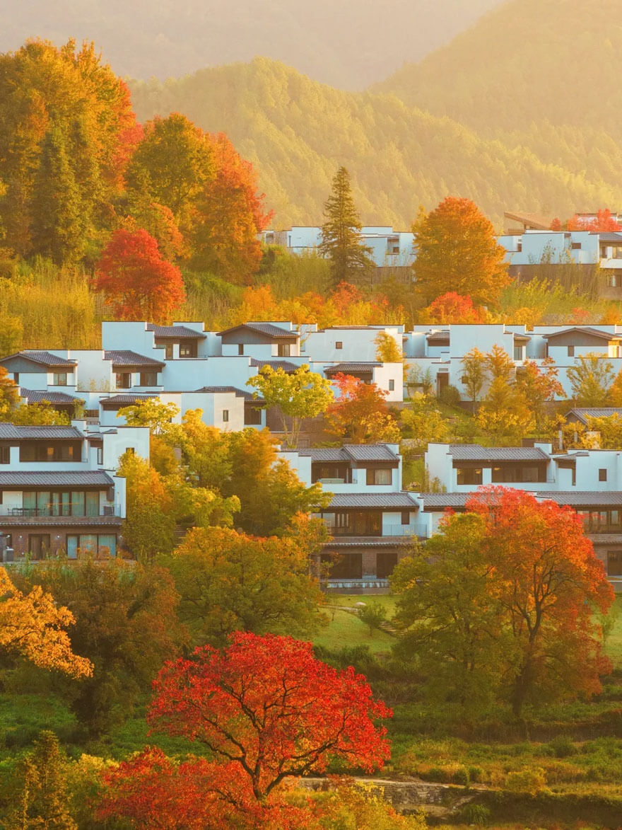 11月份安徽适合旅游的地方都有哪些？都有