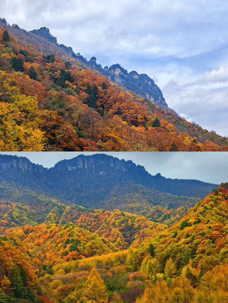 11月份湖北适合旅游的地方都有哪些？都有