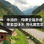 中消协：构建全链条信用监管体系 强化高危