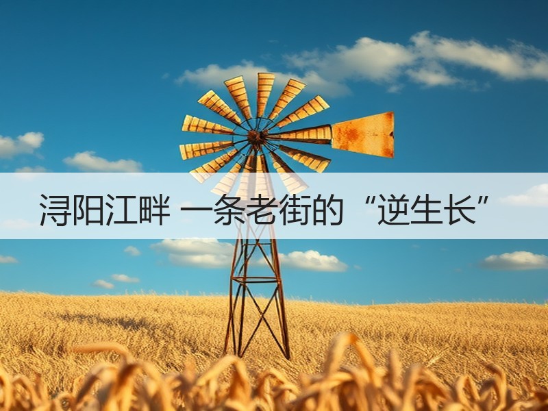 浔阳江畔 一条老街的“逆生长” - 安枢游走吧旅游科普资讯网