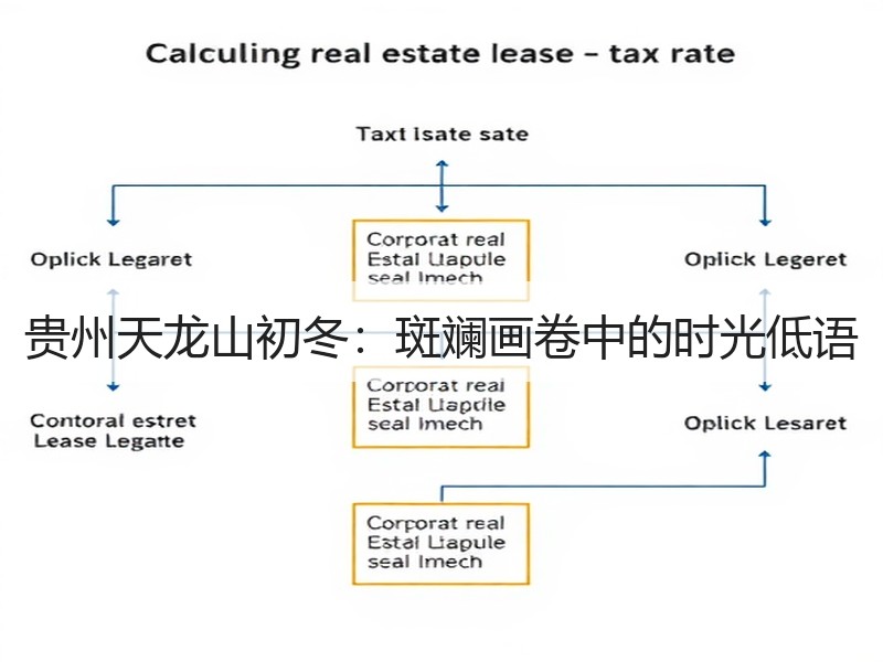 贵州天龙山初冬：斑斓画卷中的时光低语 - 安枢游走吧旅游科普资讯网