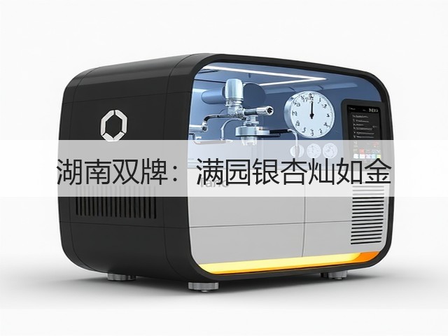 湖南双牌:满园银杏灿如金(图3) 湖南双牌:满园银杏灿如金(图3)