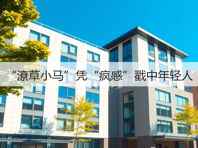“潦草小马”凭“疯感”戳中年轻人(图2) “潦草小马”凭“疯感”戳中年轻人(图2)
