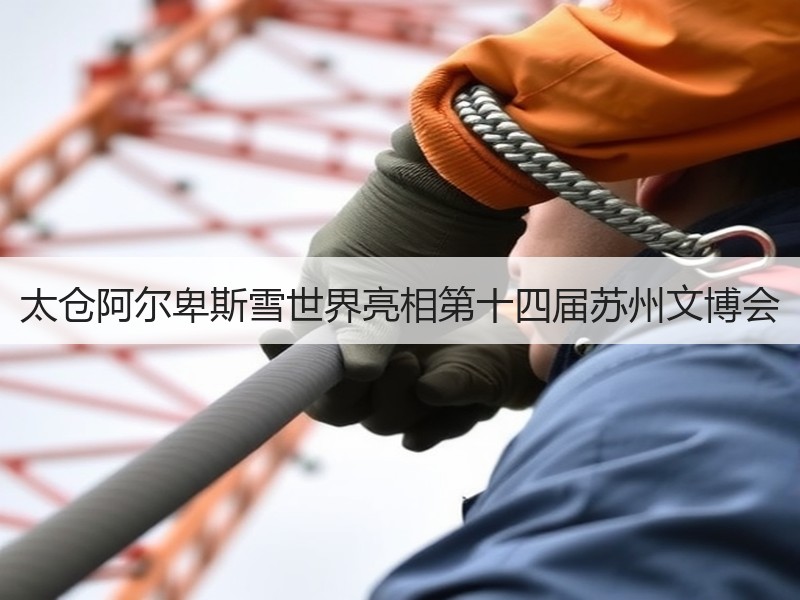 太仓阿尔卑斯雪世界亮相第十四届苏州文博会 - 安枢游走吧旅游科普资讯网