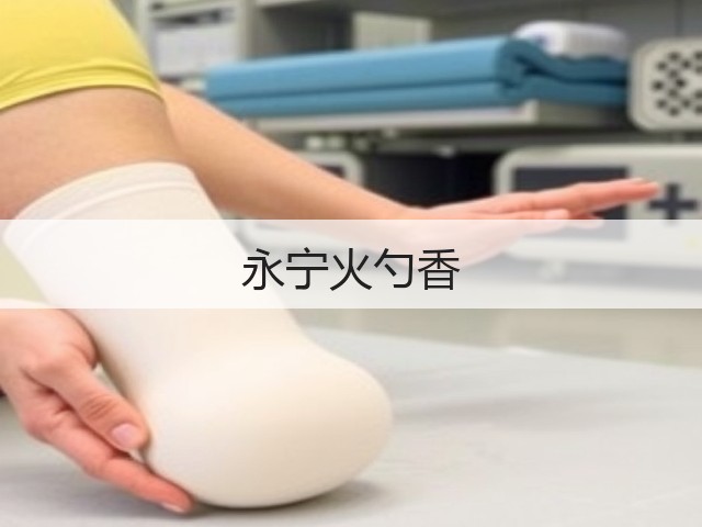 永宁火勺香(图3) 永宁火勺香(图3)