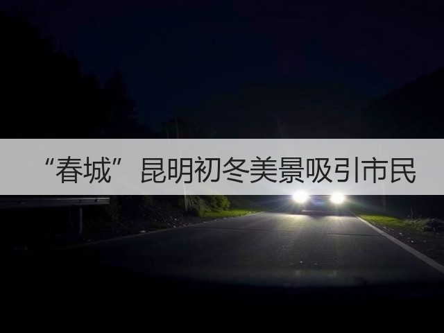 “春城”昆明初冬美景吸引市民(图2) “春城”昆明初冬美景吸引市民(图2)
