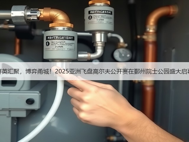 群英汇聚,博弈甬城!2025亚洲飞盘高尔夫公开赛在鄞州院士公园盛大启幕(图1) 群英汇聚,博弈甬城!2025亚洲飞盘高尔夫公开赛在鄞州院士公园盛大启幕(图1)