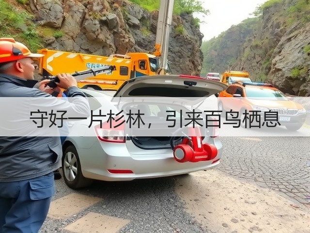 守好一片杉林,引来百鸟栖息(图3) 守好一片杉林,引来百鸟栖息(图3)