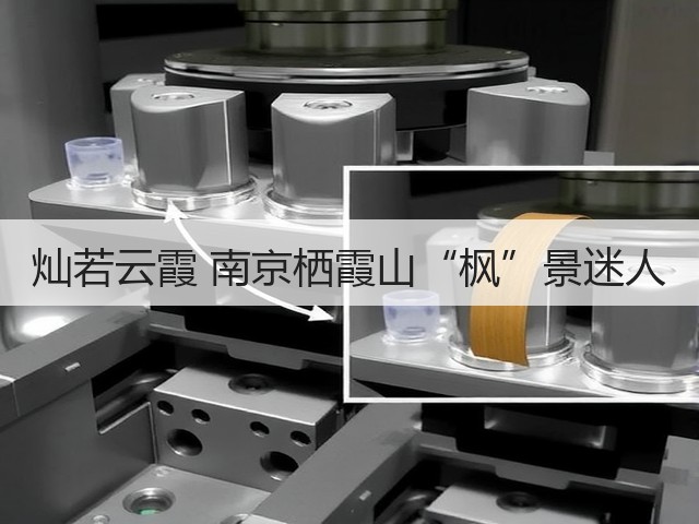 灿若云霞 南京栖霞山“枫”景迷人(图1)