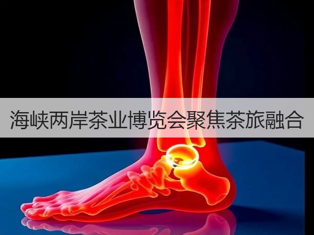 海峡两岸茶业博览会聚焦茶旅融合(图3) 海峡两岸茶业博览会聚焦茶旅融合(图3)