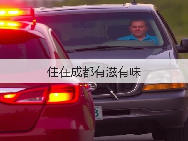 住在成都有滋有味(图3) 住在成都有滋有味(图3)