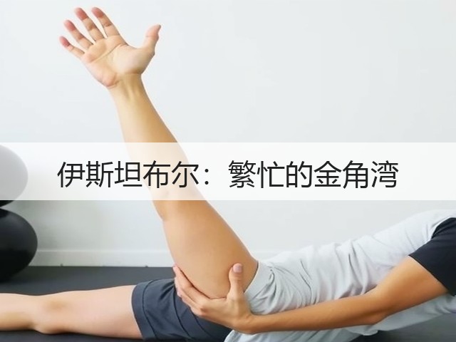 伊斯坦布尔:繁忙的金角湾(图1) 伊斯坦布尔:繁忙的金角湾(图1)