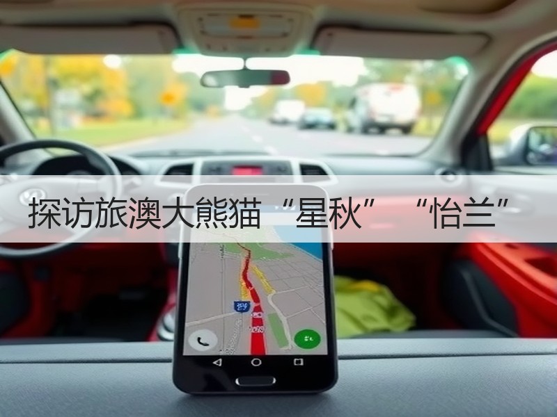 探访旅澳大熊猫“星秋”“怡兰” - 安枢游走吧旅游科普资讯网