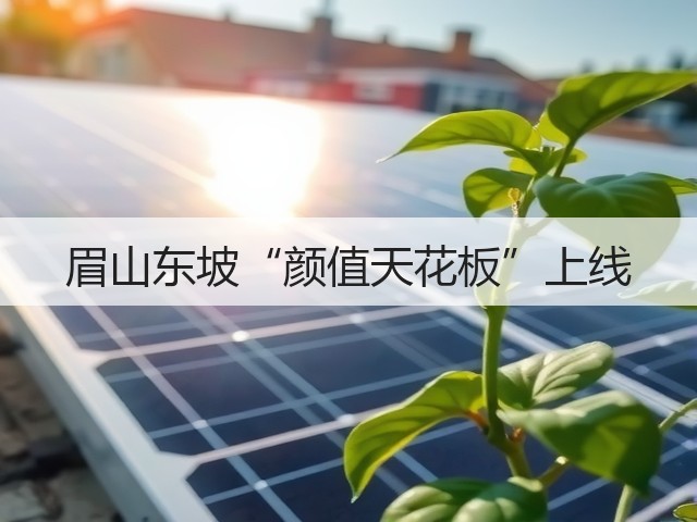 眉山东坡“颜值天花板”上线(图1) 眉山东坡“颜值天花板”上线(图1)