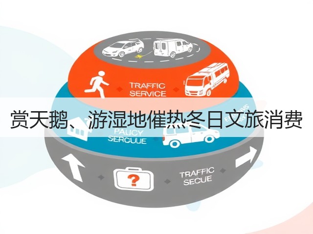 赏天鹅、游湿地催热冬日文旅消费(图3)