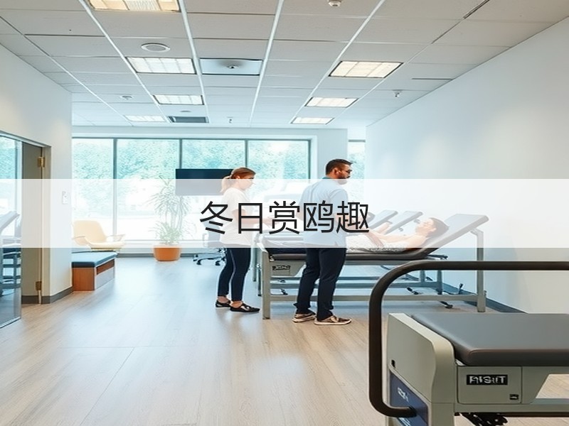 冬日赏鸥趣 - 安枢游走吧旅游科普资讯网