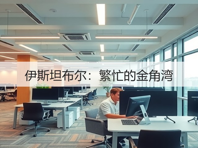 伊斯坦布尔:繁忙的金角湾(图2) 伊斯坦布尔:繁忙的金角湾(图2)