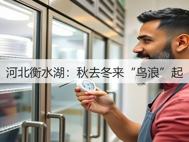河北衡水湖:秋去冬来“鸟浪”起(图2) 河北衡水湖:秋去冬来“鸟浪”起(图2)