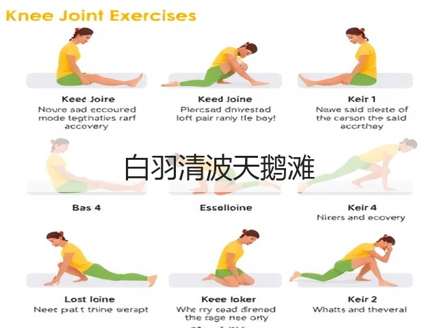 白羽清波天鹅滩(图3) 白羽清波天鹅滩(图3)