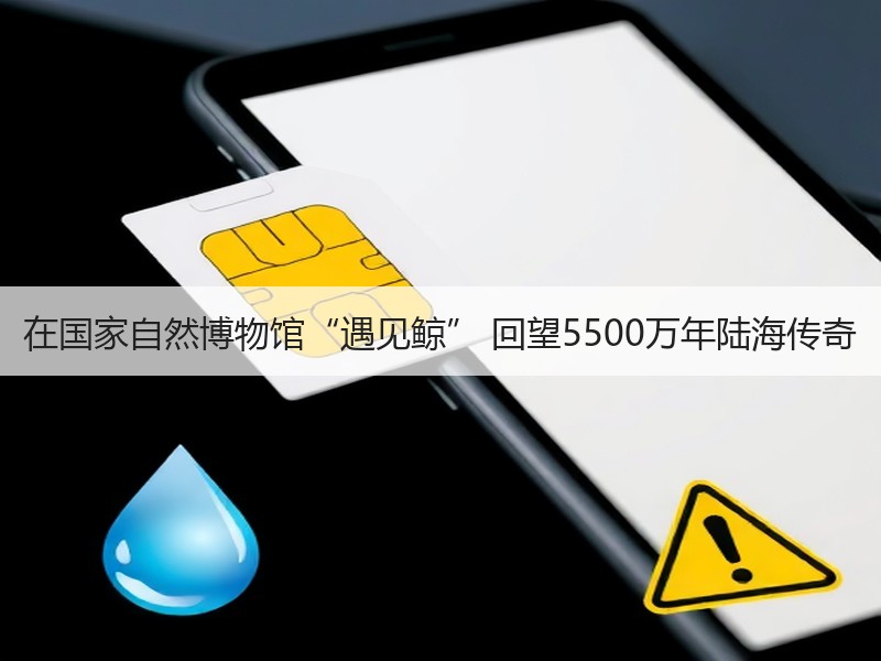 在国家自然博物馆“遇见鲸” 回望5500万年陆海传奇 - 安枢游走吧旅游科普资讯网