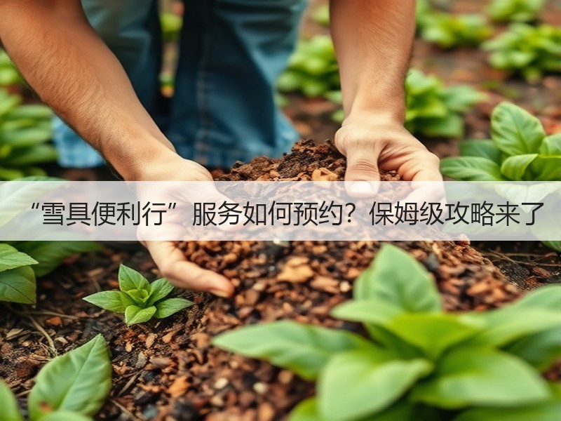 “雪具便利行”服务如何预约？保姆级攻略来了 - 安枢游走吧旅游科普资讯网