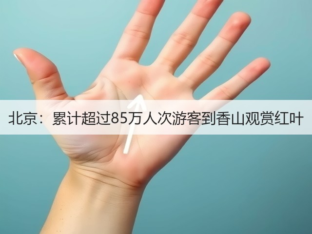 北京:累计超过85万人次游客到香山观赏红叶(图2) 北京:累计超过85万人次游客到香山观赏红叶(图2)