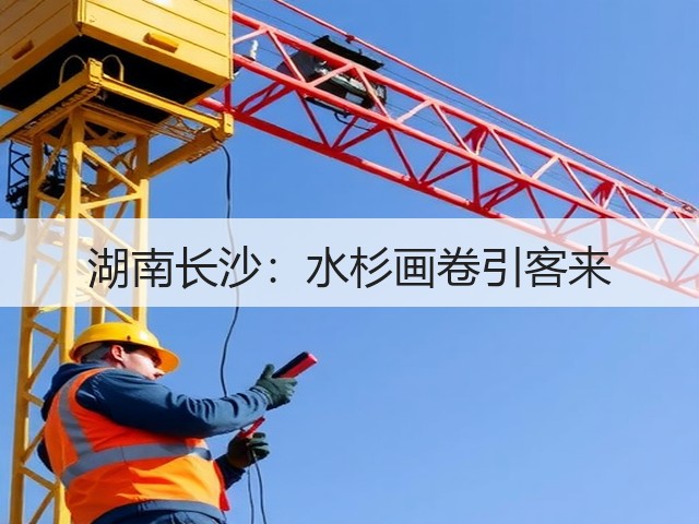 湖南长沙:水杉画卷引客来(图1) 湖南长沙:水杉画卷引客来(图1)