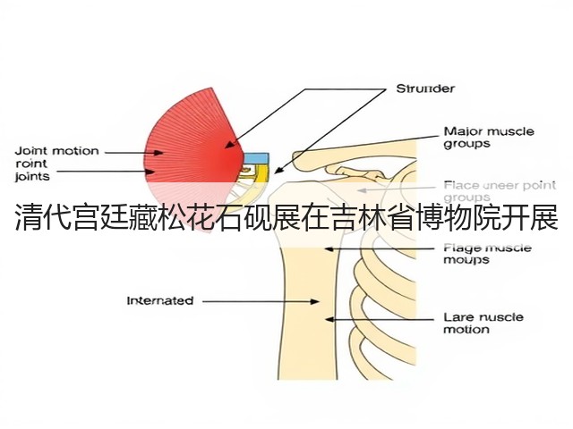 清代宫廷藏松花石砚展在吉林省博物院开展(图2) 清代宫廷藏松花石砚展在吉林省博物院开展(图2)