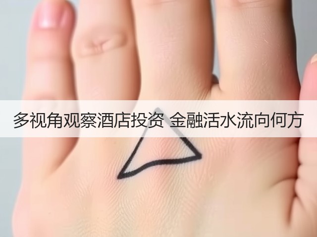 多视角观察酒店投资 金融活水流向何方(图1) 多视角观察酒店投资 金融活水流向何方(图1)