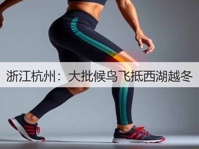 浙江杭州:大批候鸟飞抵西湖越冬(图1) 浙江杭州:大批候鸟飞抵西湖越冬(图1)