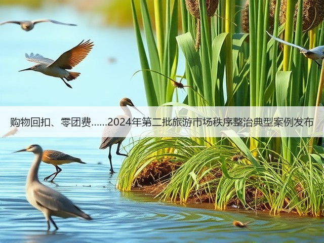 购物回扣、零团费……2024年第二批旅游市场秩序整治典型案例发布(图2) 购物回扣、零团费……2024年第二批旅游市场秩序整治典型案例发布(图2)