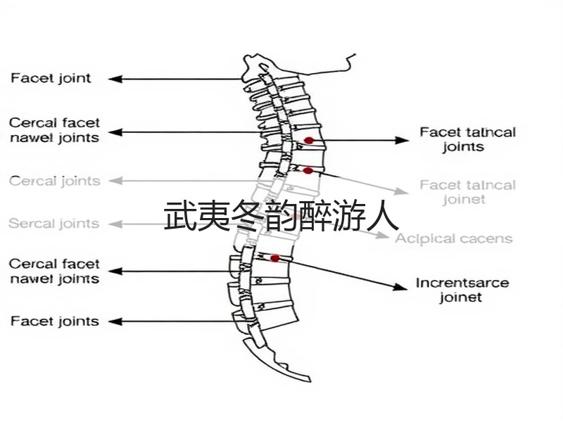 武夷冬韵醉游人 - 安枢游走吧旅游科普资讯网