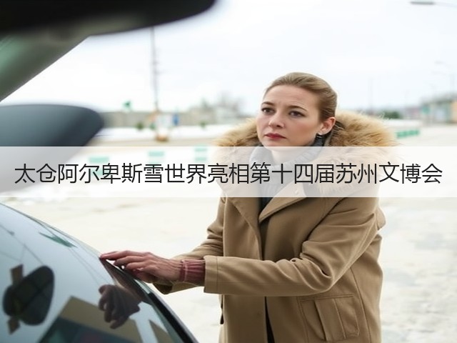 太仓阿尔卑斯雪世界亮相第十四届苏州文博会(图2) 太仓阿尔卑斯雪世界亮相第十四届苏州文博会(图2)