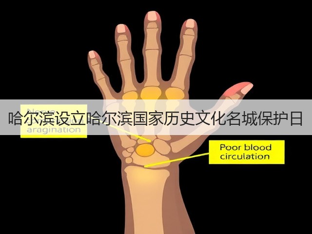 哈尔滨设立哈尔滨国家历史文化名城保护日(图2) 哈尔滨设立哈尔滨国家历史文化名城保护日(图2)