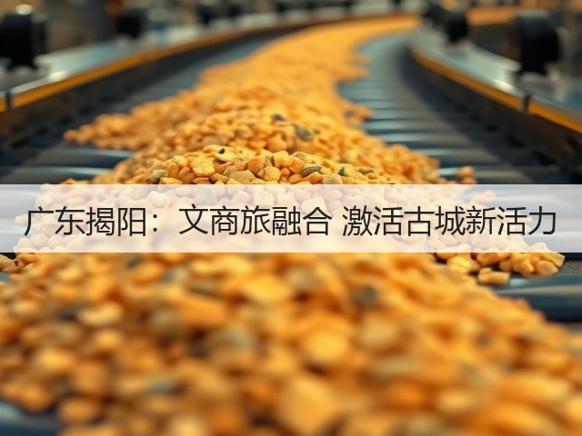 广东揭阳:文商旅融合 激活古城新活力(图1) 广东揭阳:文商旅融合 激活古城新活力(图1)