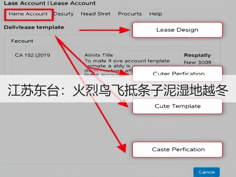 江苏东台：火烈鸟飞抵条子泥湿地越冬 - 安枢游走吧旅游科普资讯网