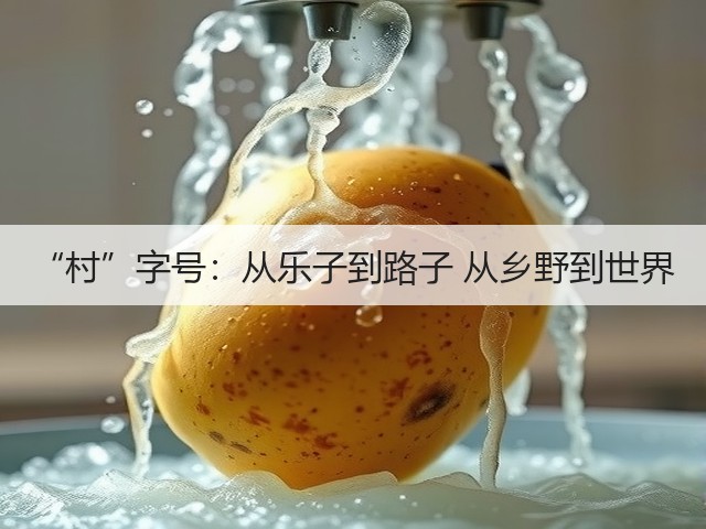 “村”字号:从乐子到路子 从乡野到世界(图3) “村”字号:从乐子到路子 从乡野到世界(图3)