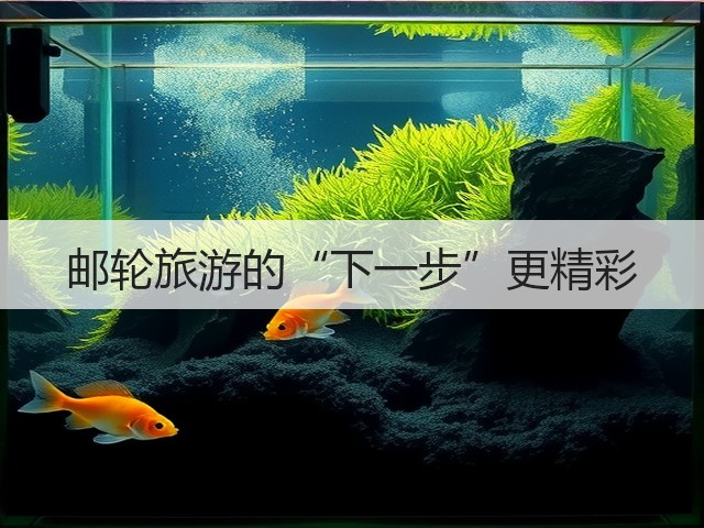 邮轮旅游的“下一步”更精彩(图3) 邮轮旅游的“下一步”更精彩(图3)