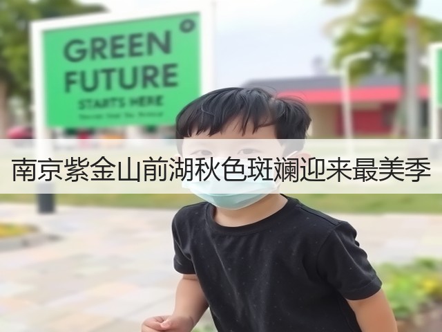 南京紫金山前湖秋色斑斓迎来最美季(图1) 南京紫金山前湖秋色斑斓迎来最美季(图1)