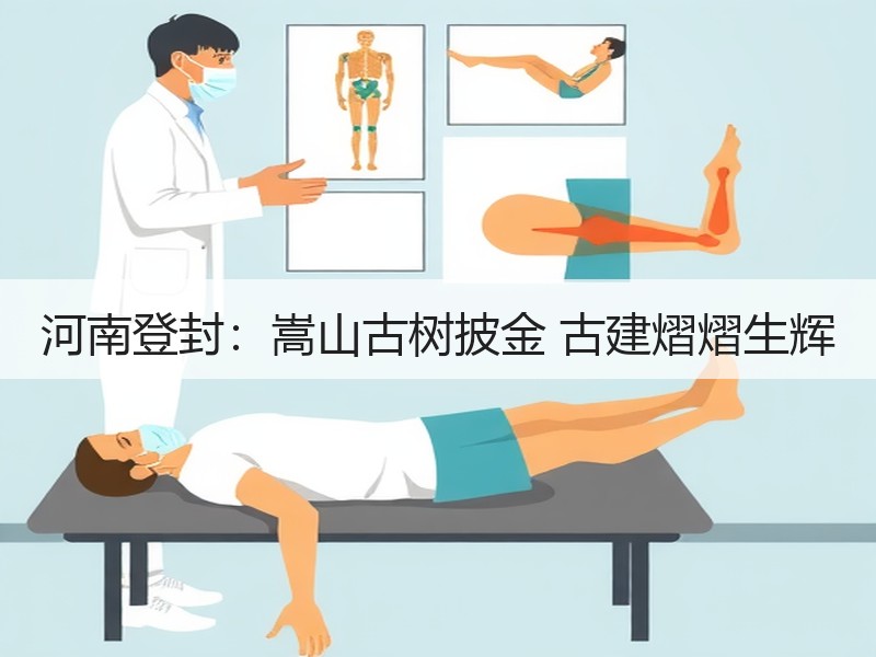 河南登封：嵩山古树披金 古建熠熠生辉 - 安枢游走吧旅游科普资讯网