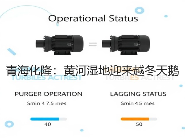青海化隆:黄河湿地迎来越冬天鹅(图1) 青海化隆:黄河湿地迎来越冬天鹅(图1)