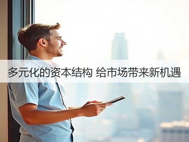 多元化的资本结构 给市场带来新机遇(图3) 多元化的资本结构 给市场带来新机遇(图3)