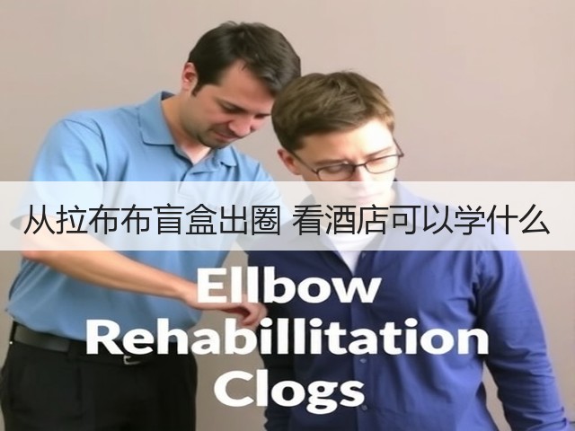 从拉布布盲盒出圈 看酒店可以学什么(图3) 从拉布布盲盒出圈 看酒店可以学什么(图3)