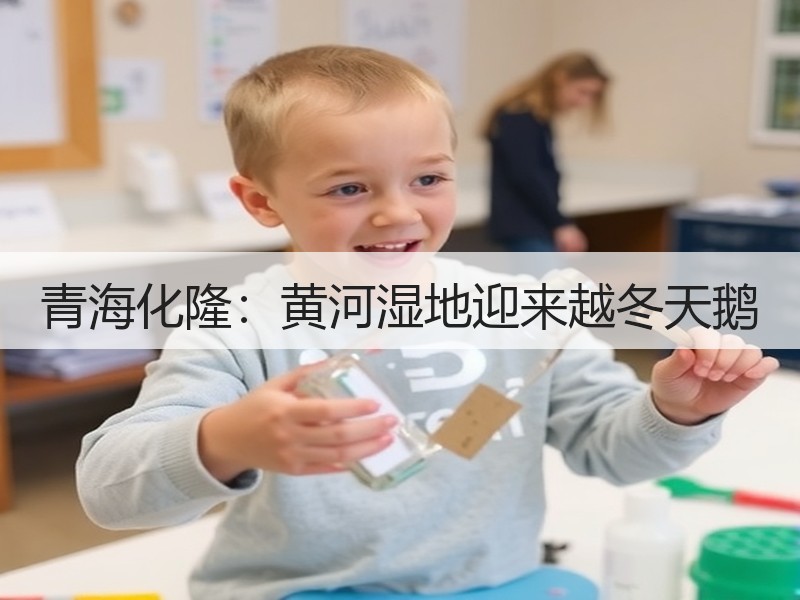 青海化隆：黄河湿地迎来越冬天鹅 - 安枢游走吧旅游科普资讯网