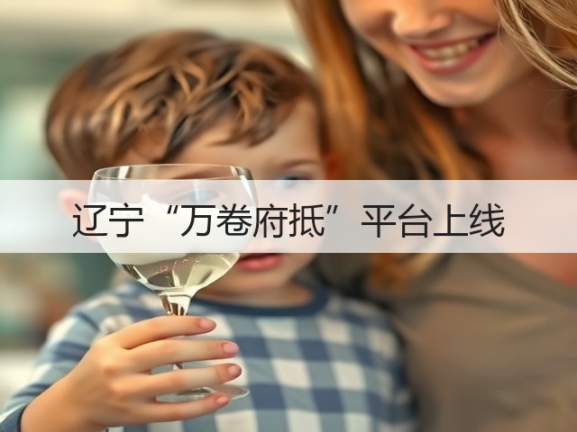 辽宁“万卷府抵”平台上线(图3) 辽宁“万卷府抵”平台上线(图3)