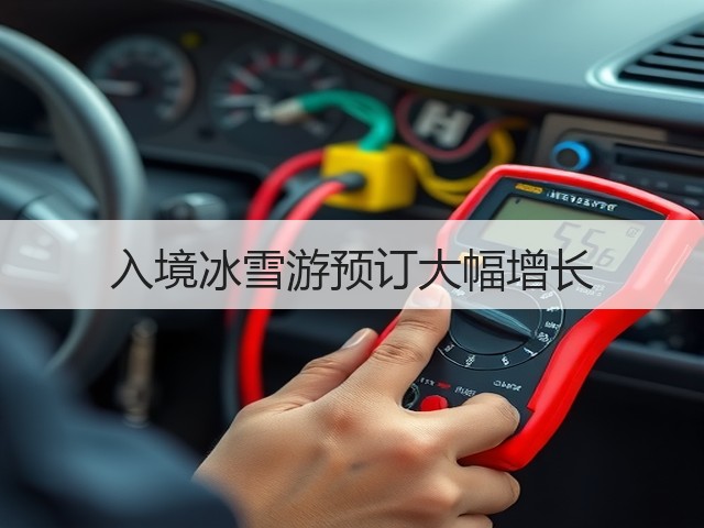 入境冰雪游预订大幅增长(图2) 入境冰雪游预订大幅增长(图2)