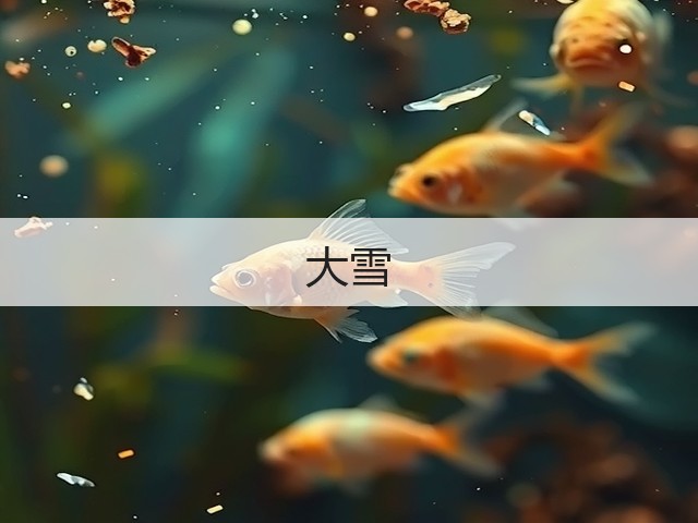 大雪(图2)