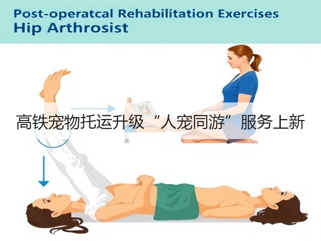 高铁宠物托运升级“人宠同游”服务上新(图2) 高铁宠物托运升级“人宠同游”服务上新(图2)