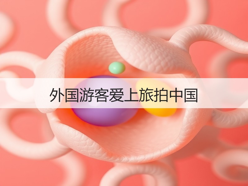 外国游客爱上旅拍中国 - 安枢游走吧旅游科普资讯网
