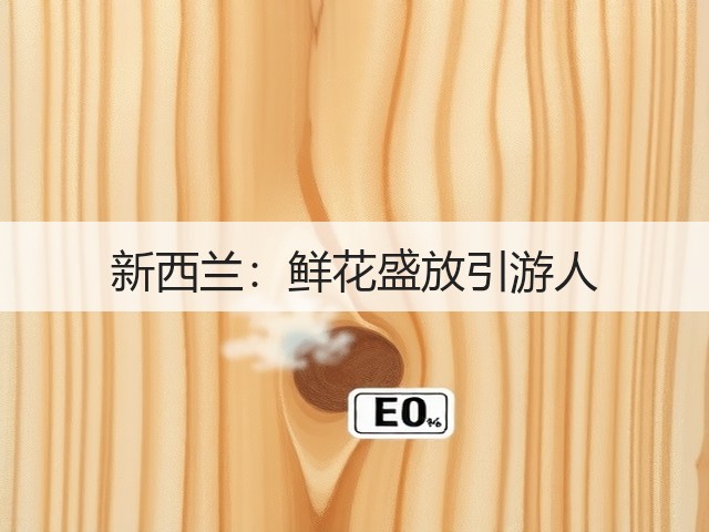 新西兰:鲜花盛放引游人(图1) 新西兰:鲜花盛放引游人(图1)
